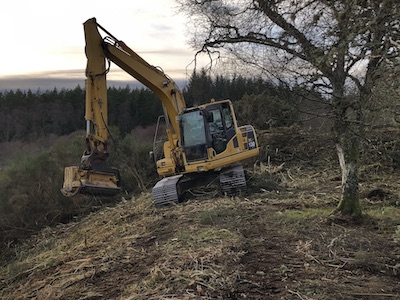 Vegetation Control